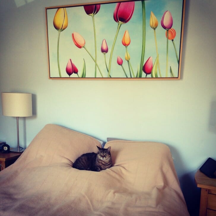Lola and Tulip Landscape