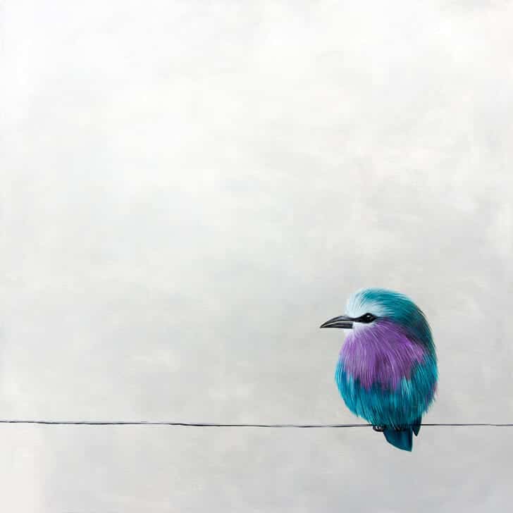 Mr Purple