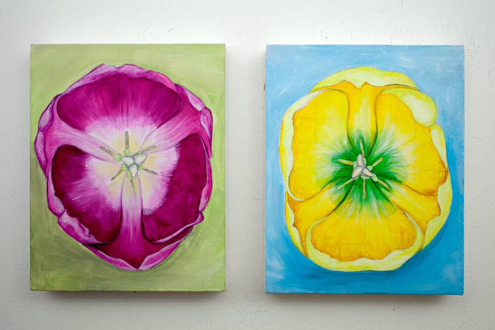 Fruity Tulips, original field sketches, front