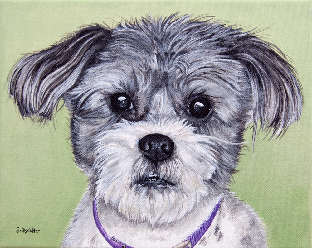 Pet portrait painting of a Shih Tzu and Jack Russel mix by fine arts painter Erica Eriksdotter