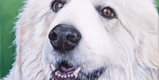 Sugar Bear's Portrait - original acrylic by Erica Eriksdotter