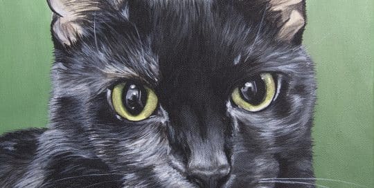Custom pet portrait of a black cat with piercing green eyes on a green background, created by Erica Eriksdotter.