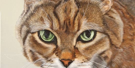 Custom pet portrait of a tabby cat with green eyes, meticulously painted by Erica Eriksdotter to capture the cat's lifelike expression.