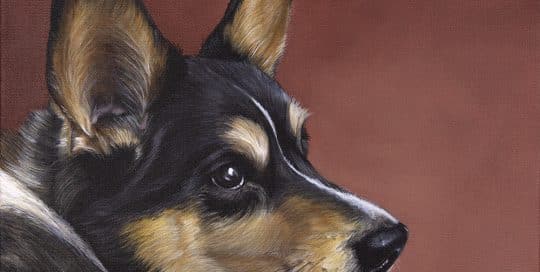 Custom dog portrait of a welsh corgi by artist Erica Eriksdotter