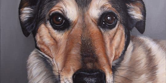 Custom dog portrait of a labrador retriever mix by artist Erica Eriksdotter
