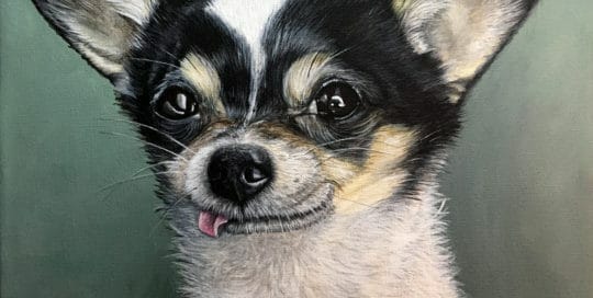 Billy's Pet Portrait - original painting by Erica Eriksdotter of Studio Eriksdotter