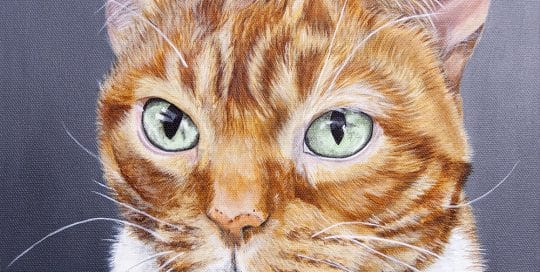 Hand-painted cat portrait of an orange tabby with bright green eyes on a gray background by Erica Eriksdotter.