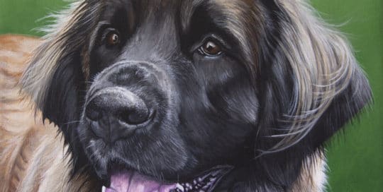 Elsa's Pet Portrait - original painting by Erica Eriksdotter of Studio Eriksdotter