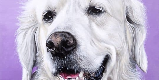 Hand-painted dog portrait of a Golden Retriever with a happy expression on a light purple background by Erica Eriksdotter.