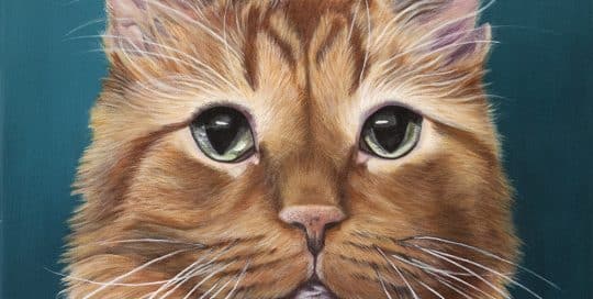Custom pet portrait of a ginger tabby cat with expressive green eyes, painted by Erica Eriksdotter