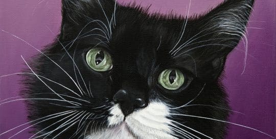 Custom hand-painted portrait of a black and white tuxedo cat with a curious expression on a vibrant purple background by Erica Eriksdotter.