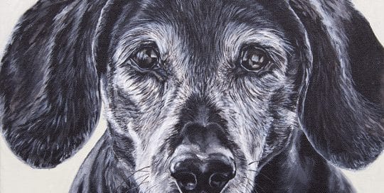Daisy's Portrait - original acrylic by Erica Eriksdotter