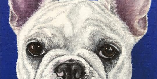 Custom french bulldog portrait by Erica Eriksdotter, right