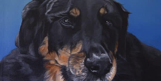 Custom pet portrait of a black and brown dog with soulful eyes against a blue background, painted by Erica Eriksdotter.