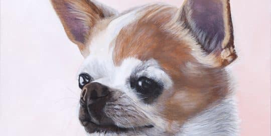 Custom pet portrait of a Chihuahua with a serene expression on a light pink background, hand-painted by Erica Eriksdotter.
