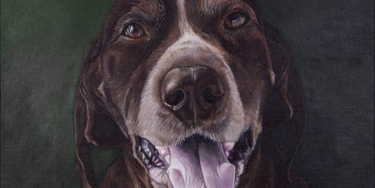 Custom dog portrait of a german shorthair pointer by artist Erica Eriksdotter