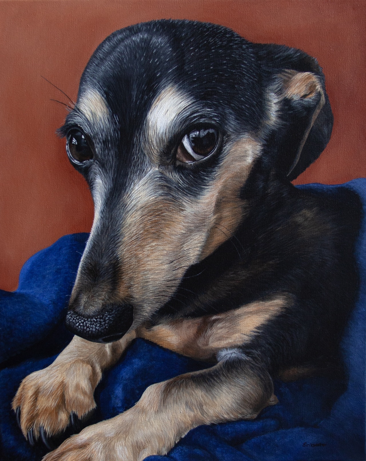 Custom pet portrait of a black and tan dachshund wrapped in a blue blanket, painted by Erica Eriksdotter